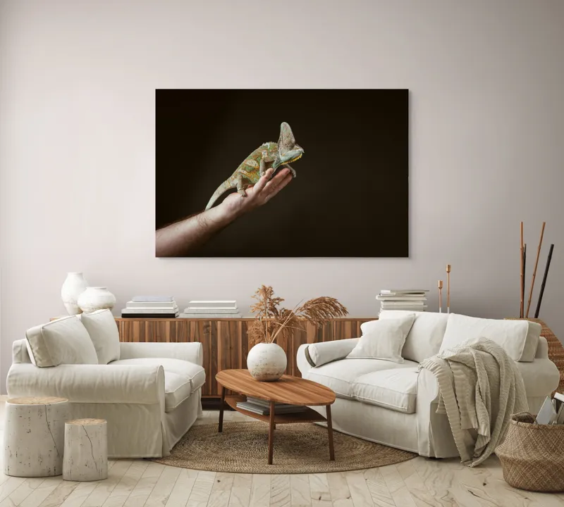 Tablou Canvas, "Cameleonul pe mâna îngrijitorului său", Cameleon, Mână, Reptilă, Verde, Textură, Întuneric, Delicat, Contrast, Exotic, Natură, 150 x 100 cm – poza 3
