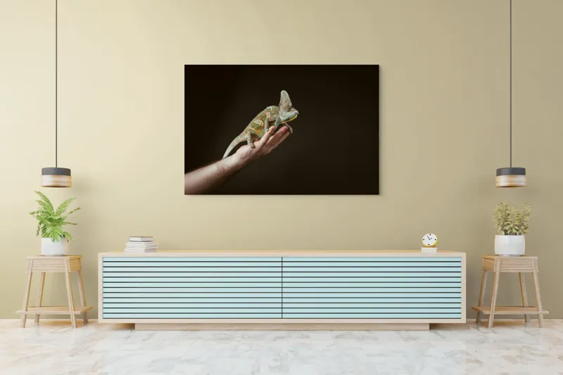 Tablou Canvas, "Cameleonul pe mâna îngrijitorului său", Cameleon, Mână, Reptilă, Verde, Textură, Întuneric, Delicat, Contrast, Exotic, Natură, 150 x 100 cm – poza 6