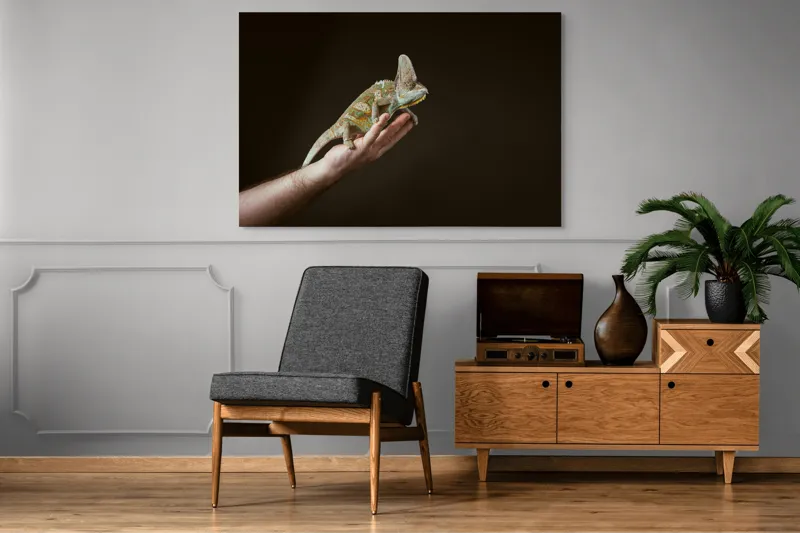 Tablou Canvas, "Cameleonul pe mâna îngrijitorului său", Cameleon, Mână, Reptilă, Verde, Textură, Întuneric, Delicat, Contrast, Exotic, Natură, 150 x 100 cm – poza 8