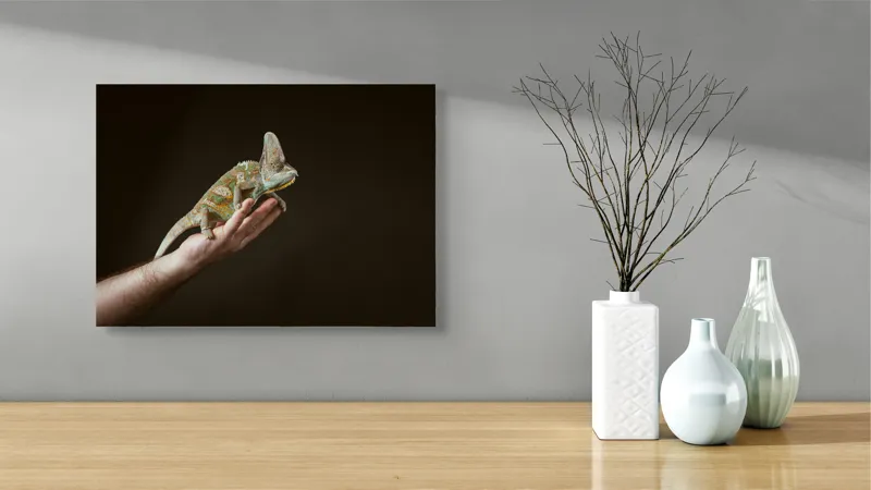 Tablou Canvas, "Cameleonul pe mâna îngrijitorului său", Cameleon, Mână, Reptilă, Verde, Textură, Întuneric, Delicat, Contrast, Exotic, Natură, 54 x 39 cm – poza 3