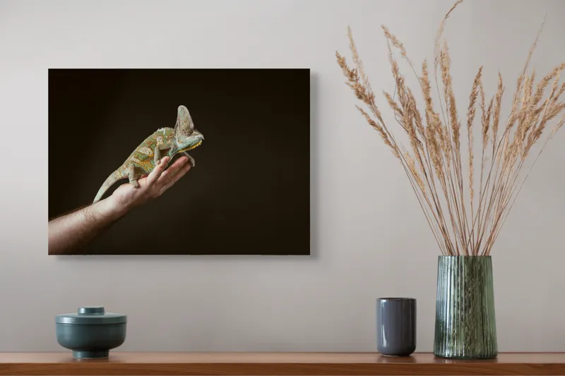 Tablou Canvas, "Cameleonul pe mâna îngrijitorului său", Cameleon, Mână, Reptilă, Verde, Textură, Întuneric, Delicat, Contrast, Exotic, Natură, 54 x 39 cm – poza 4