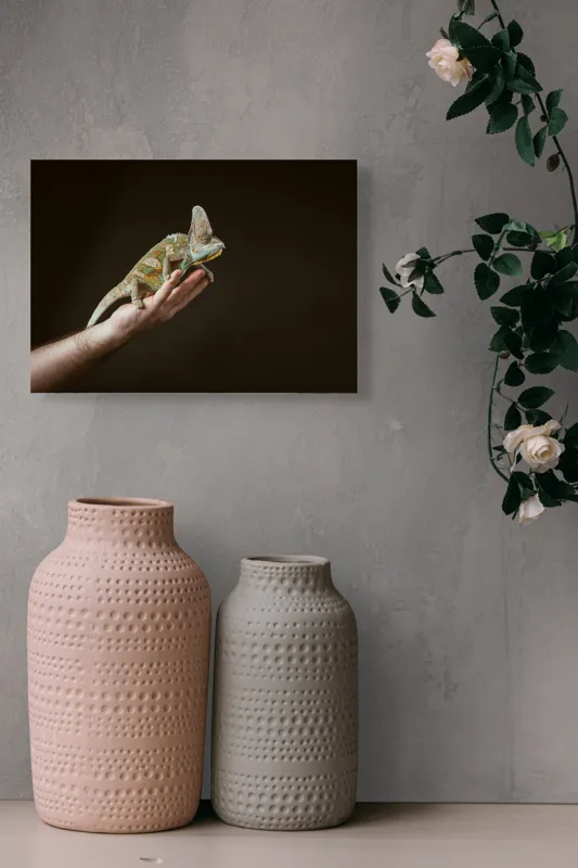 Tablou Canvas, "Cameleonul pe mâna îngrijitorului său", Cameleon, Mână, Reptilă, Verde, Textură, Întuneric, Delicat, Contrast, Exotic, Natură, 54 x 39 cm – poza 8