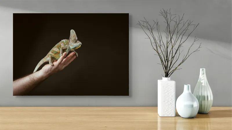 Tablou Canvas, "Cameleonul pe mâna îngrijitorului său", Cameleon, Mână, Reptilă, Verde, Textură, Întuneric, Delicat, Contrast, Exotic, Natură, 70 x 50 cm – poza 3