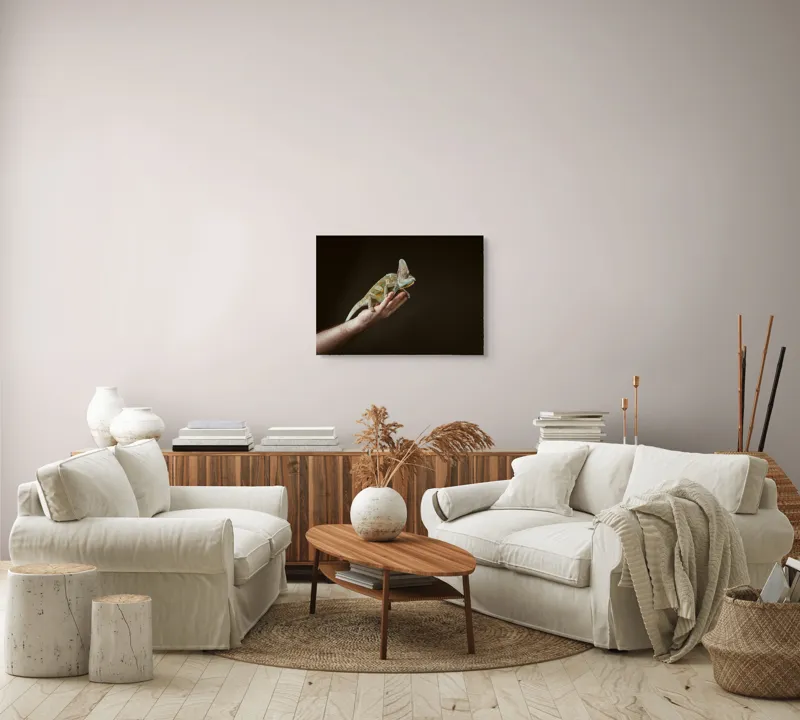 Tablou Canvas, "Cameleonul pe mâna îngrijitorului său", Cameleon, Mână, Reptilă, Verde, Textură, Întuneric, Delicat, Contrast, Exotic, Natură, 70 x 50 cm – poza 6
