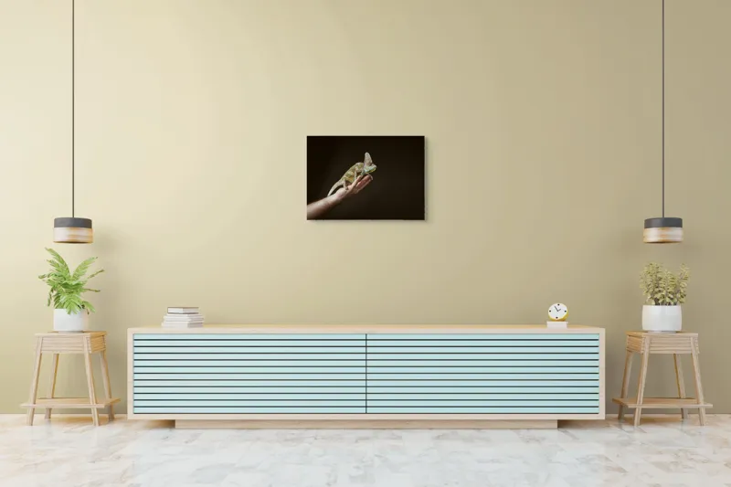 Tablou Canvas, "Cameleonul pe mâna îngrijitorului său", Cameleon, Mână, Reptilă, Verde, Textură, Întuneric, Delicat, Contrast, Exotic, Natură, 70 x 50 cm – poza 7