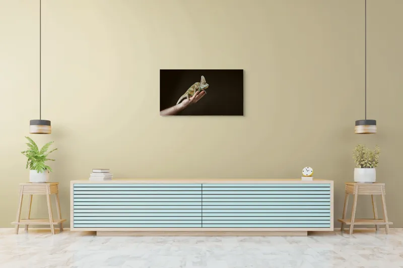 Tablou Canvas, "Cameleonul pe mâna îngrijitorului său", Cameleon, Mână, Reptilă, Verde, Textură, Întuneric, Delicat, Contrast, Exotic, Natură, 90 x 50 cm – poza 5