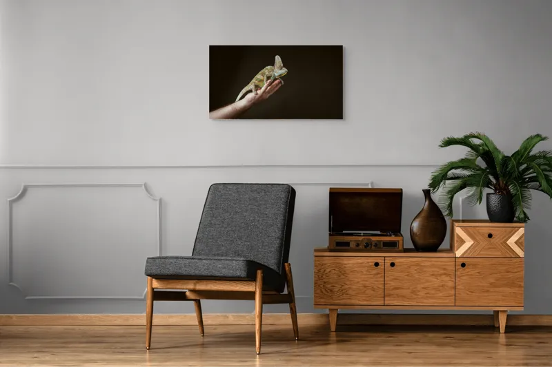 Tablou Canvas, "Cameleonul pe mâna îngrijitorului său", Cameleon, Mână, Reptilă, Verde, Textură, Întuneric, Delicat, Contrast, Exotic, Natură, 90 x 50 cm – poza 6