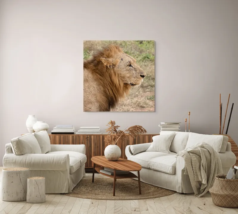 Tablou Canvas, "Regele savanei privind orizontul", Leu, Mândru, Impunător, Seren, Regal, Natură, Sălbatic, Puternic, Neînfricat, Magnific, 100 x 100 cm – poza 3