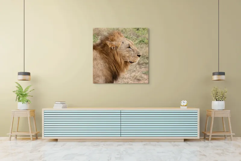 Tablou Canvas, "Regele savanei privind orizontul", Leu, Mândru, Impunător, Seren, Regal, Natură, Sălbatic, Puternic, Neînfricat, Magnific, 100 x 100 cm – poza 5