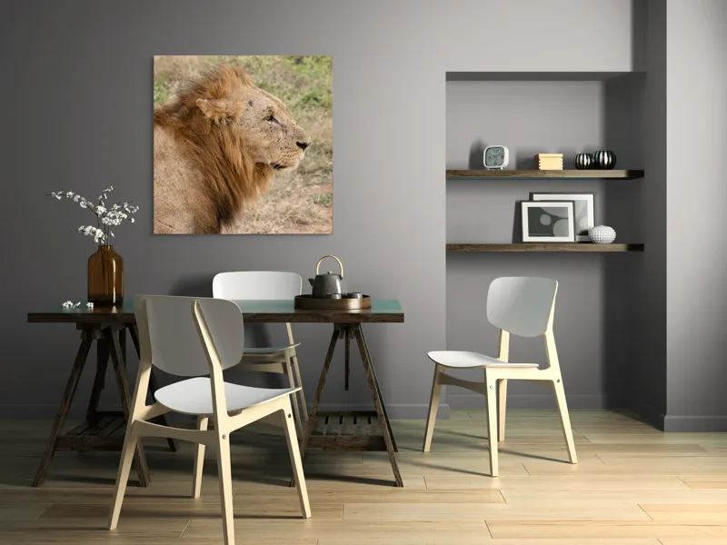 Tablou Canvas, "Regele savanei privind orizontul", Leu, Mândru, Impunător, Seren, Regal, Natură, Sălbatic, Puternic, Neînfricat, Magnific, 100 x 100 cm – poza 6