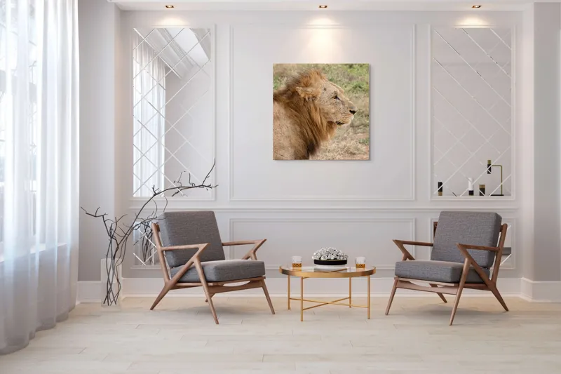 Tablou Canvas, "Regele savanei privind orizontul", Leu, Mândru, Impunător, Seren, Regal, Natură, Sălbatic, Puternic, Neînfricat, Magnific, 100 x 100 cm – poza 7