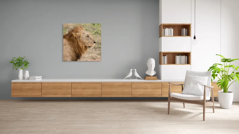 Tablou Canvas, "Regele savanei privind orizontul", Leu, Mândru, Impunător, Seren, Regal, Natură, Sălbatic, Puternic, Neînfricat, Magnific, 100 x 100 cm – poza 8