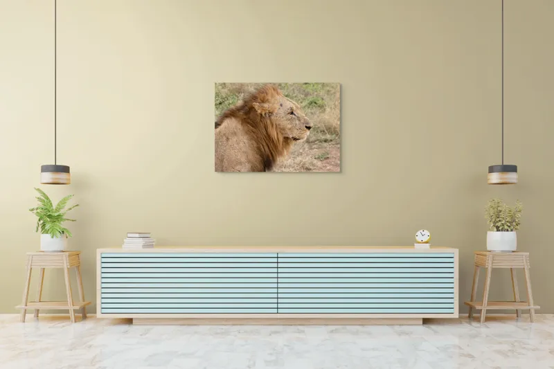 Tablou Canvas, "Regele savanei privind orizontul", Leu, Mândru, Impunător, Seren, Regal, Natură, Sălbatic, Puternic, Neînfricat, Magnific, 100 x 70 cm – poza 4