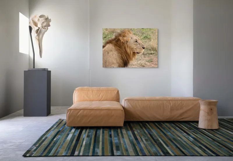 Tablou Canvas, "Regele savanei privind orizontul", Leu, Mândru, Impunător, Seren, Regal, Natură, Sălbatic, Puternic, Neînfricat, Magnific, 100 x 70 cm – poza 7