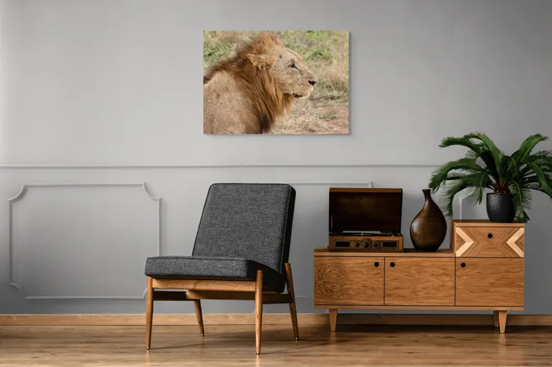Tablou Canvas, "Regele savanei privind orizontul", Leu, Mândru, Impunător, Seren, Regal, Natură, Sălbatic, Puternic, Neînfricat, Magnific, 100 x 70 cm – poza 8