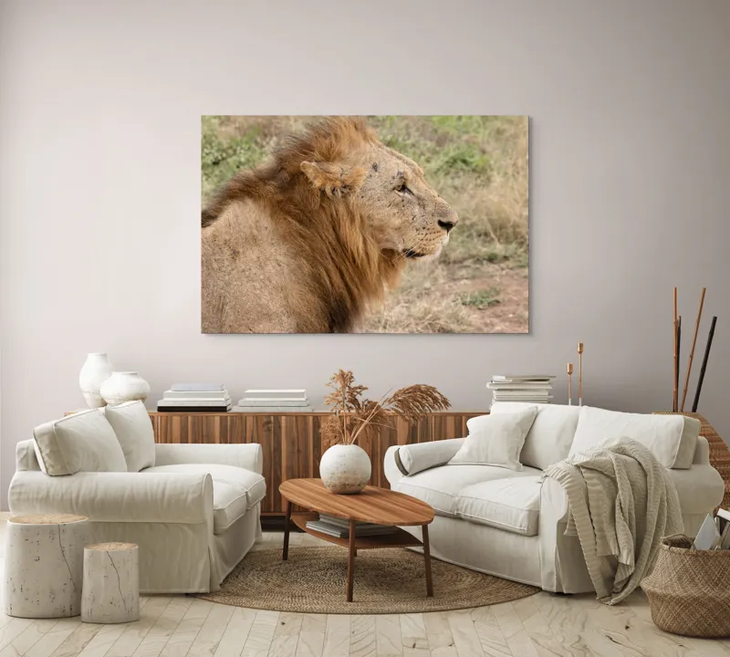 Tablou Canvas, "Regele savanei privind orizontul", Leu, Mândru, Impunător, Seren, Regal, Natură, Sălbatic, Puternic, Neînfricat, Magnific, 150 x 100 cm – poza 3