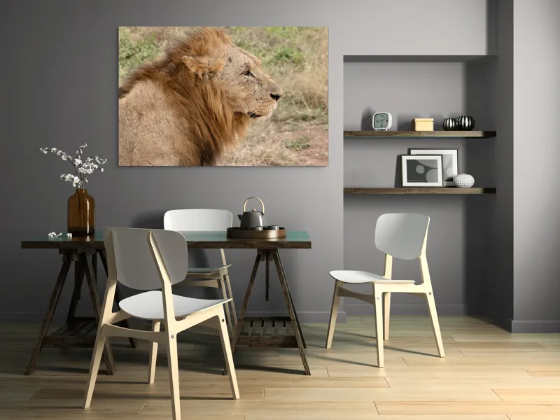 Tablou Canvas, "Regele savanei privind orizontul", Leu, Mândru, Impunător, Seren, Regal, Natură, Sălbatic, Puternic, Neînfricat, Magnific, 150 x 100 cm – poza 5