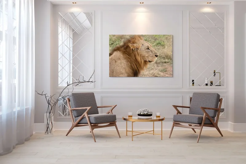 Tablou Canvas, "Regele savanei privind orizontul", Leu, Mândru, Impunător, Seren, Regal, Natură, Sălbatic, Puternic, Neînfricat, Magnific, 150 x 100 cm – poza 7