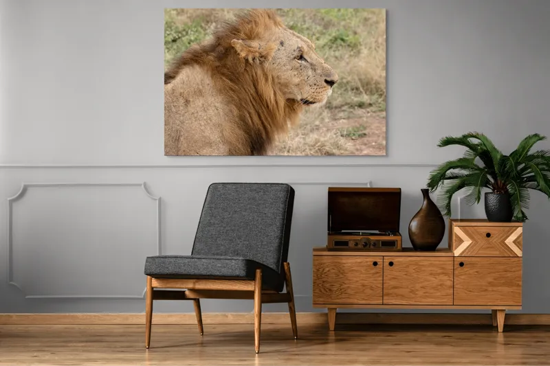 Tablou Canvas, "Regele savanei privind orizontul", Leu, Mândru, Impunător, Seren, Regal, Natură, Sălbatic, Puternic, Neînfricat, Magnific, 150 x 100 cm – poza 8
