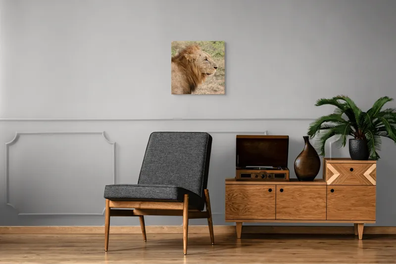 Tablou Canvas, "Regele savanei privind orizontul", Leu, Mândru, Impunător, Seren, Regal, Natură, Sălbatic, Puternic, Neînfricat, Magnific, 50 x 50 cm – poza 6