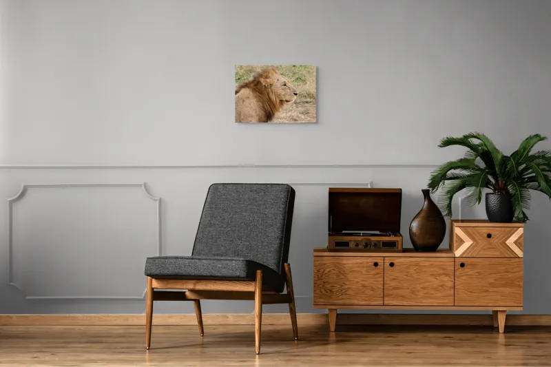 Tablou Canvas, "Regele savanei privind orizontul", Leu, Mândru, Impunător, Seren, Regal, Natură, Sălbatic, Puternic, Neînfricat, Magnific, 54 x 39 cm – poza 7