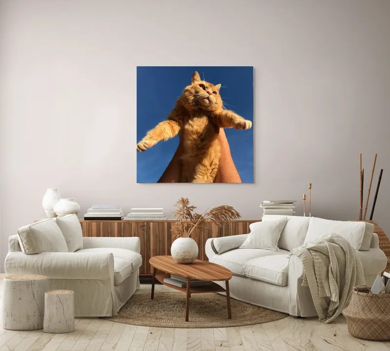 Tablou Canvas, "Pisică portocalie spre cer albastru", Pisică, Portocalie, Cer, Albastru, Labe, Blană, Mustăți, Mângâiere, Soare, Privire, 100 x 100 cm – poza 3