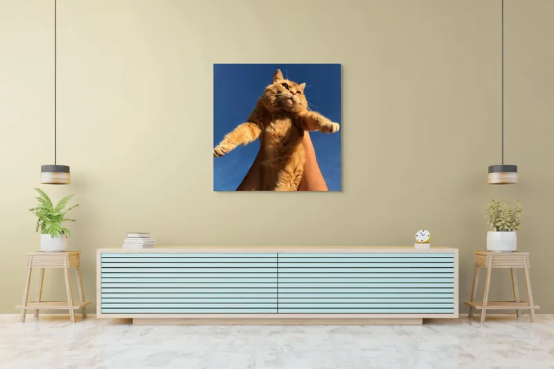 Tablou Canvas, "Pisică portocalie spre cer albastru", Pisică, Portocalie, Cer, Albastru, Labe, Blană, Mustăți, Mângâiere, Soare, Privire, 100 x 100 cm – poza 5
