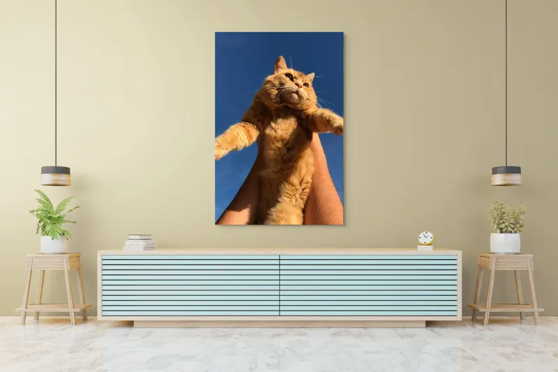 Tablou Canvas, "Pisică portocalie spre cer albastru", Pisică, Portocalie, Cer, Albastru, Labe, Blană, Mustăți, Mângâiere, Soare, Privire, 100 x 150 cm – poza 4