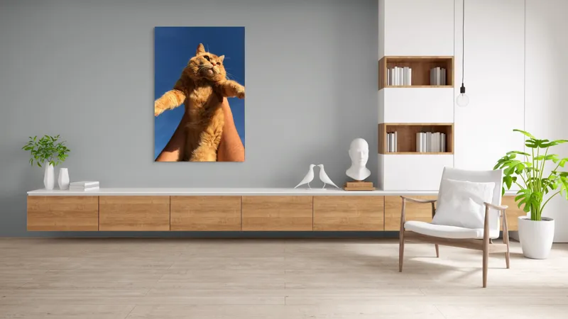 Tablou Canvas, "Pisică portocalie spre cer albastru", Pisică, Portocalie, Cer, Albastru, Labe, Blană, Mustăți, Mângâiere, Soare, Privire, 100 x 150 cm – poza 8