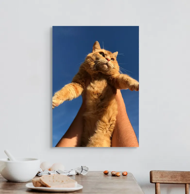 Tablou Canvas, "Pisică portocalie spre cer albastru", Pisică, Portocalie, Cer, Albastru, Labe, Blană, Mustăți, Mângâiere, Soare, Privire, 50 x 70 cm – poza 3