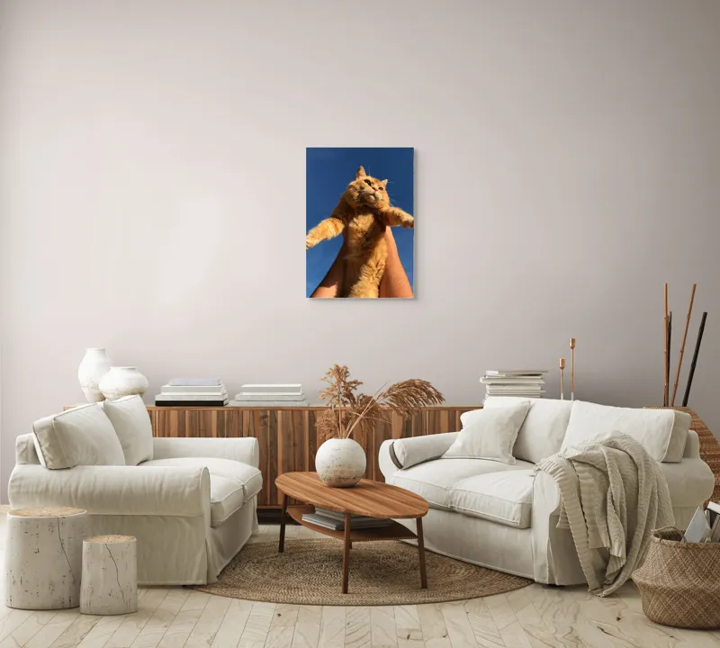 Tablou Canvas, "Pisică portocalie spre cer albastru", Pisică, Portocalie, Cer, Albastru, Labe, Blană, Mustăți, Mângâiere, Soare, Privire, 50 x 70 cm – poza 4