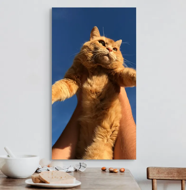 Tablou Canvas, "Pisică portocalie spre cer albastru", Pisică, Portocalie, Cer, Albastru, Labe, Blană, Mustăți, Mângâiere, Soare, Privire, 50 x 90 cm – poza 3
