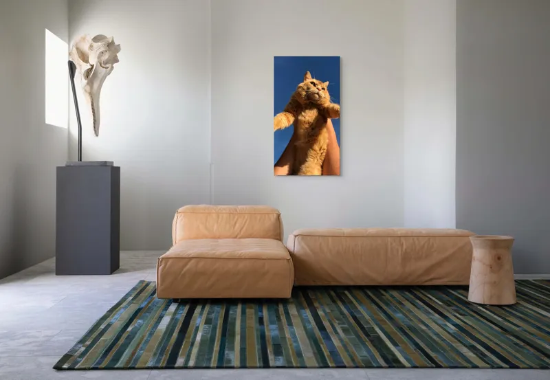 Tablou Canvas, "Pisică portocalie spre cer albastru", Pisică, Portocalie, Cer, Albastru, Labe, Blană, Mustăți, Mângâiere, Soare, Privire, 50 x 90 cm – poza 5