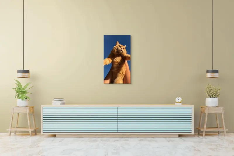 Tablou Canvas, "Pisică portocalie spre cer albastru", Pisică, Portocalie, Cer, Albastru, Labe, Blană, Mustăți, Mângâiere, Soare, Privire, 50 x 90 cm – poza 6