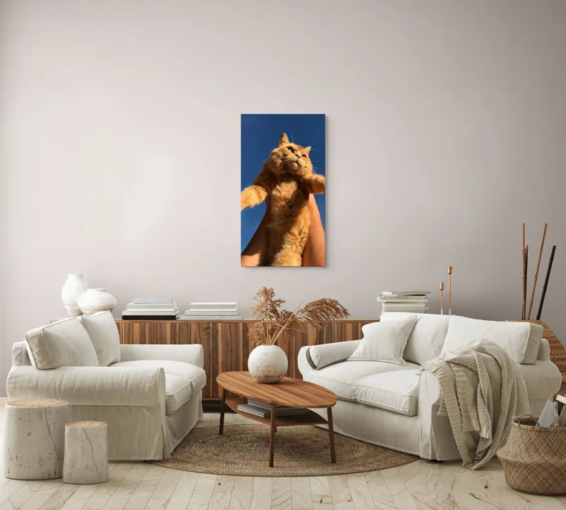 Tablou Canvas, "Pisică portocalie spre cer albastru", Pisică, Portocalie, Cer, Albastru, Labe, Blană, Mustăți, Mângâiere, Soare, Privire, 50 x 90 cm – poza 7