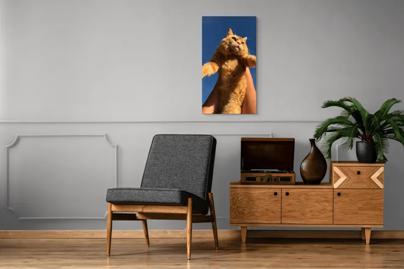 Tablou Canvas, "Pisică portocalie spre cer albastru", Pisică, Portocalie, Cer, Albastru, Labe, Blană, Mustăți, Mângâiere, Soare, Privire, 50 x 90 cm – poza 8