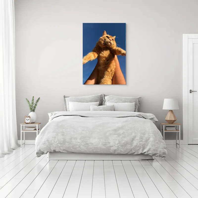 Tablou Canvas, "Pisică portocalie spre cer albastru", Pisică, Portocalie, Cer, Albastru, Labe, Blană, Mustăți, Mângâiere, Soare, Privire, 70 x 100 cm – poza 3