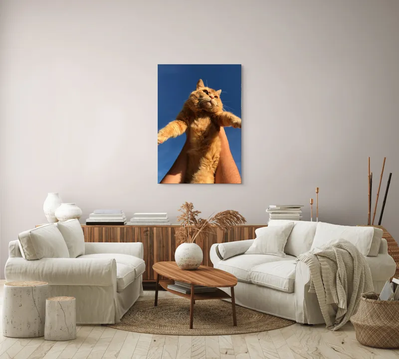 Tablou Canvas, "Pisică portocalie spre cer albastru", Pisică, Portocalie, Cer, Albastru, Labe, Blană, Mustăți, Mângâiere, Soare, Privire, 70 x 100 cm – poza 4