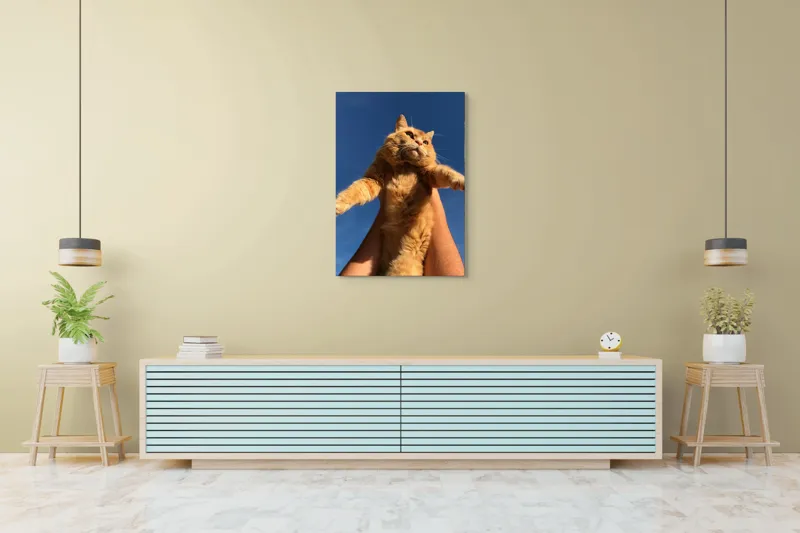 Tablou Canvas, "Pisică portocalie spre cer albastru", Pisică, Portocalie, Cer, Albastru, Labe, Blană, Mustăți, Mângâiere, Soare, Privire, 70 x 100 cm – poza 5