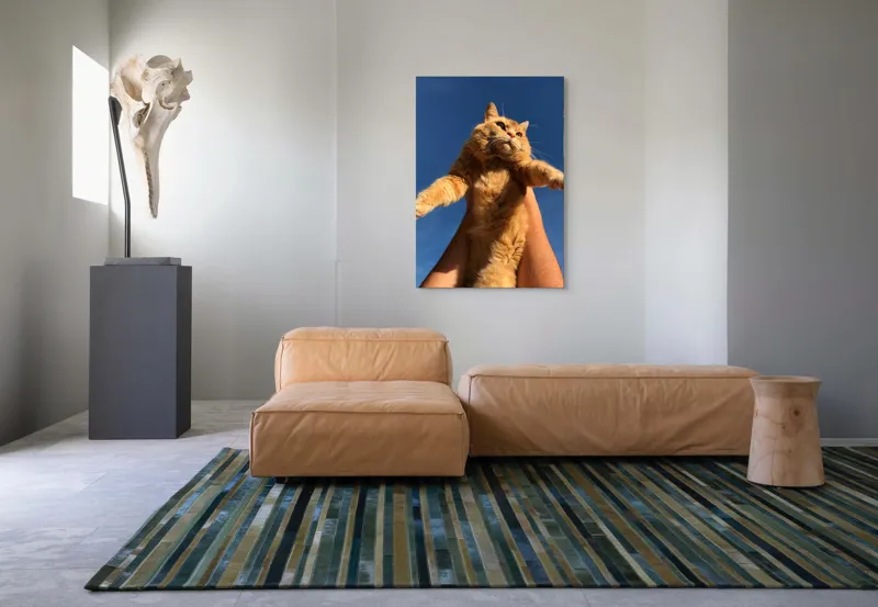 Tablou Canvas, "Pisică portocalie spre cer albastru", Pisică, Portocalie, Cer, Albastru, Labe, Blană, Mustăți, Mângâiere, Soare, Privire, 70 x 100 cm – poza 7