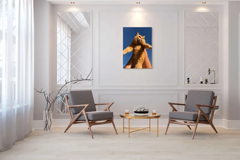 Tablou Canvas, "Pisică portocalie spre cer albastru", Pisică, Portocalie, Cer, Albastru, Labe, Blană, Mustăți, Mângâiere, Soare, Privire, 70 x 100 cm – poza 8