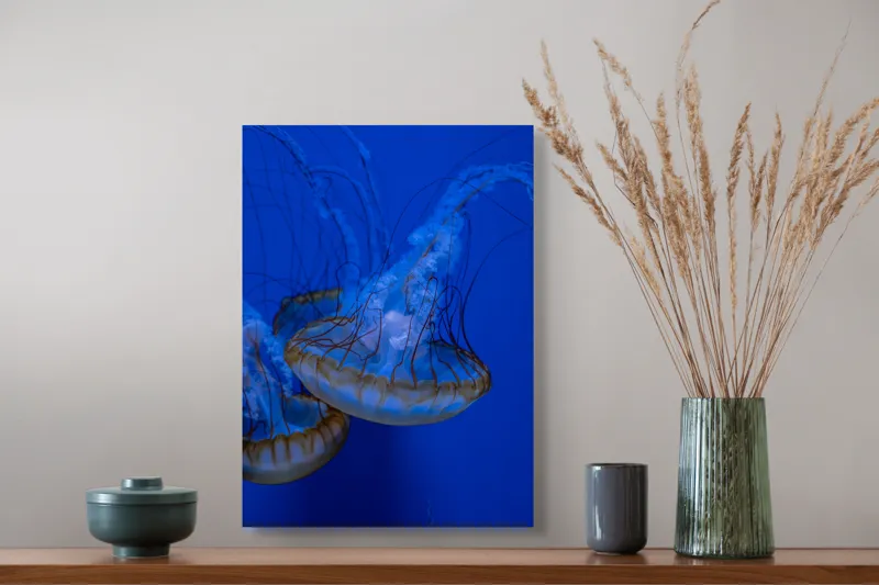 Tablou Canvas, "Dansul meduzelor subacvatice albastre", Meduze, Albastru, Luminos, Eleganță, Acvatic, Delicat, Natură, Ocean, 39 x 54 cm – poza 3
