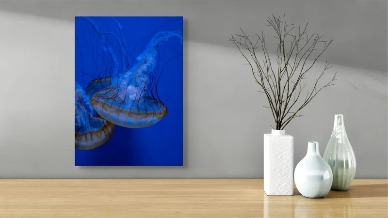 Tablou Canvas, "Dansul meduzelor subacvatice albastre", Meduze, Albastru, Luminos, Eleganță, Acvatic, Delicat, Natură, Ocean, 39 x 54 cm – poza 4