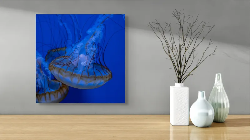 Tablou Canvas, "Dansul meduzelor subacvatice albastre", Meduze, Albastru, Luminos, Eleganță, Acvatic, Delicat, Natură, Ocean, 50 x 50 cm – poza 3