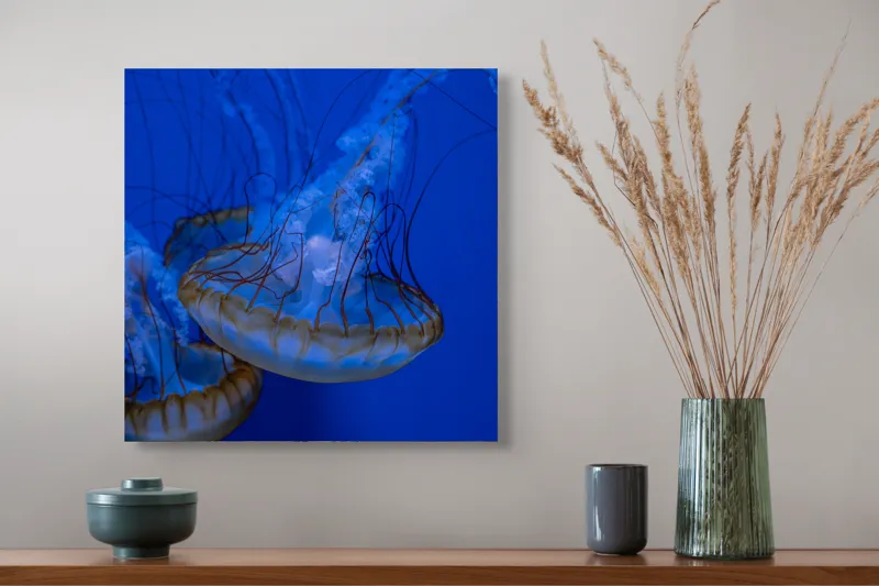 Tablou Canvas, "Dansul meduzelor subacvatice albastre", Meduze, Albastru, Luminos, Eleganță, Acvatic, Delicat, Natură, Ocean, 50 x 50 cm – poza 4