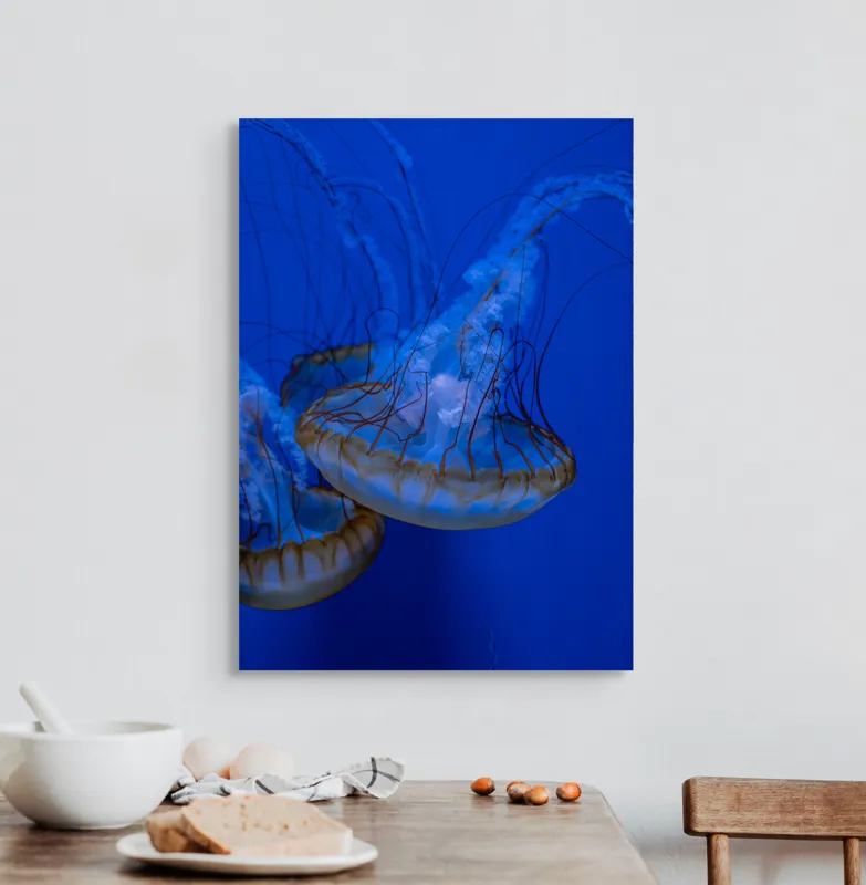Tablou Canvas, "Dansul meduzelor subacvatice albastre", Meduze, Albastru, Luminos, Eleganță, Acvatic, Delicat, Natură, Ocean, 50 x 70 cm – poza 3