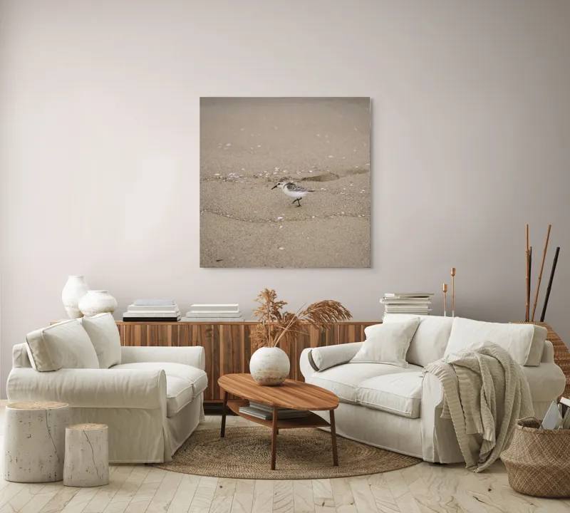 Tablou Canvas, "Păsărilă pe țărmul nisipos al mării", Nisip, Pasăre, Drum, Cochilii, Liniște, Natură, Plajă, Păsări., 100 x 100 cm – poza 3