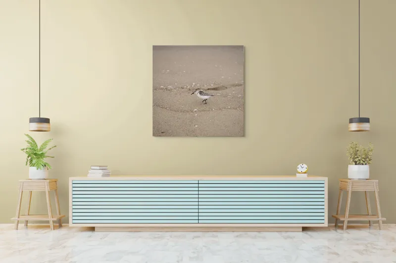 Tablou Canvas, "Păsărilă pe țărmul nisipos al mării", Nisip, Pasăre, Drum, Cochilii, Liniște, Natură, Plajă, Păsări., 100 x 100 cm – poza 5