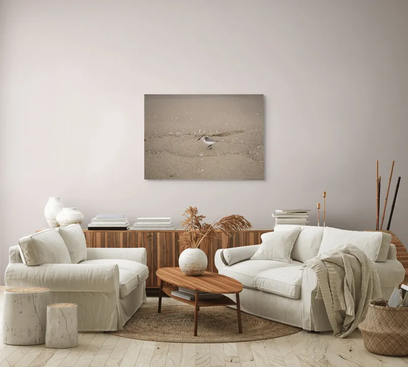 Tablou Canvas, "Păsărilă pe țărmul nisipos al mării", Nisip, Pasăre, Drum, Cochilii, Liniște, Natură, Plajă, Păsări., 100 x 70 cm – poza 3