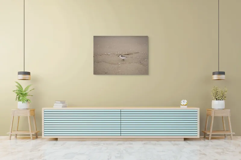 Tablou Canvas, "Păsărilă pe țărmul nisipos al mării", Nisip, Pasăre, Drum, Cochilii, Liniște, Natură, Plajă, Păsări., 100 x 70 cm – poza 4